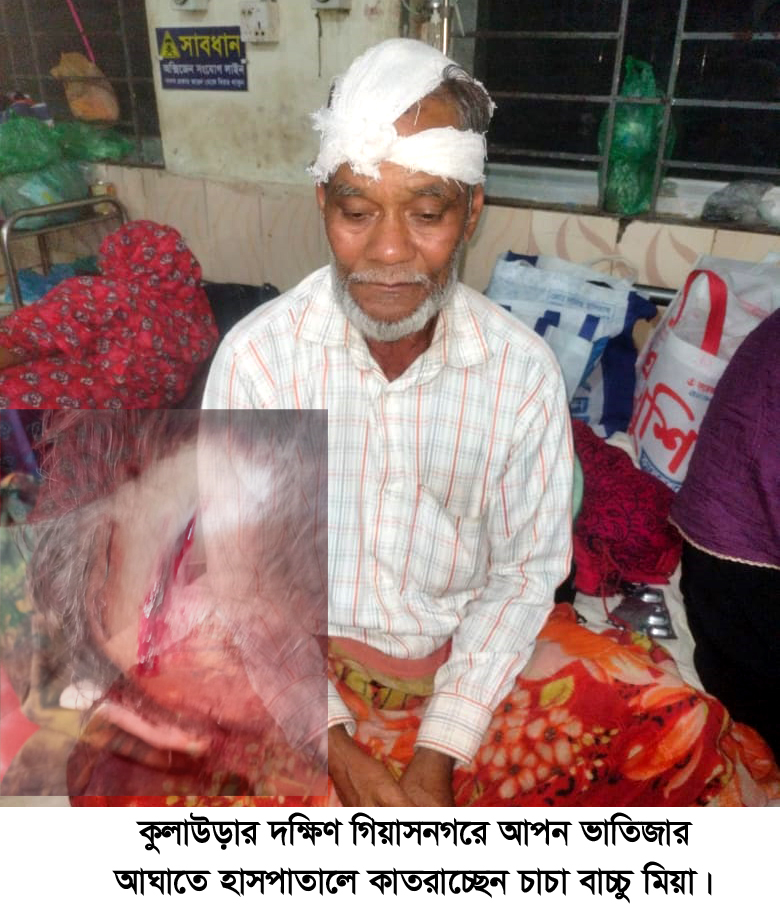 কুলাউড়ায় আাপন ভাতিজাদের মারধরে আহত চাচা